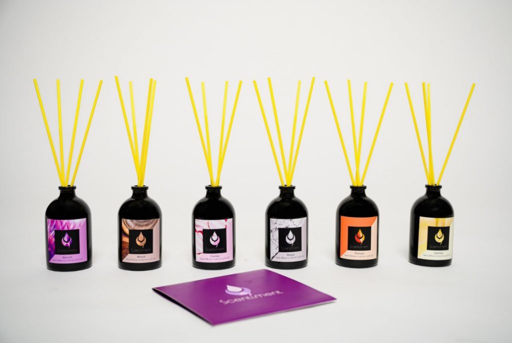 Reed Diffuser 100 ml